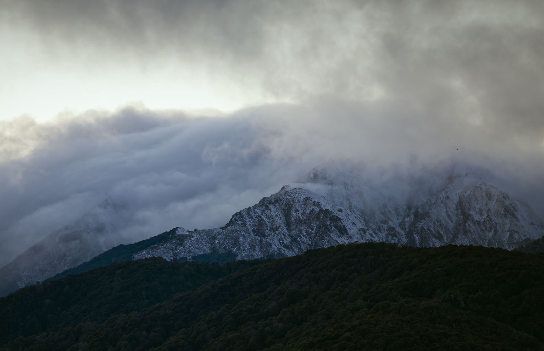 Sunrise Behind Kaimanawa Forest Park